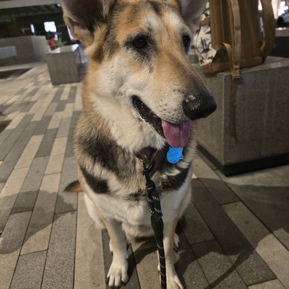 Meet your Posher, Pat - Picture 13 of 17